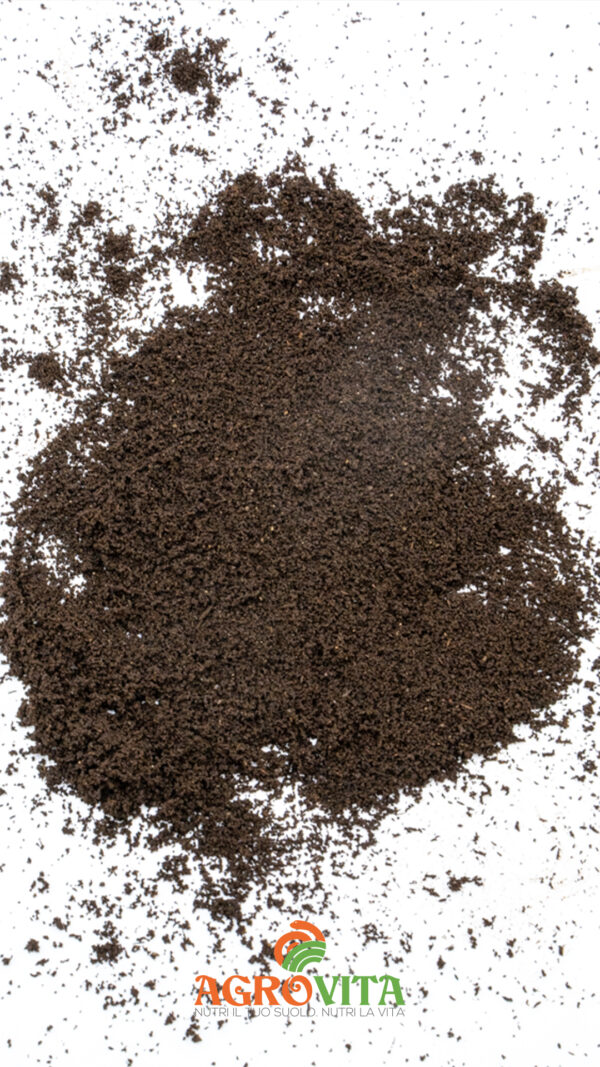 <1 mm Linea Agricola